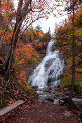Gushing water fall in an autumn forest landscape with dense trees, Cape Breton. Beulach Ban Falls, Autumn waterfall view. 