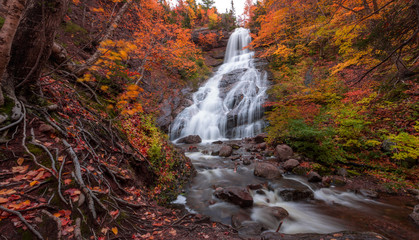 Beulach Ban Falls with its gushing water fall in an autumn forest landscape with dense trees, Cape Breton. Autumn waterfall view with the stream. 