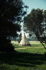 A tipi tent in a pacefull meadow