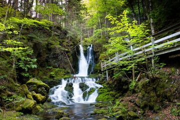 Pristine waterfalls with dense green natural forest trees in the middle of Fundy National Park....