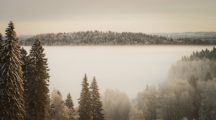 Fototapeta premium Snowy day in Finland