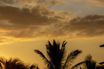 Cielo norte