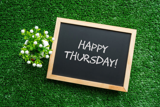 HAPPY THURSDAY text in white chalk handwriting on a blackboard with flower in small pot. Green grass background.