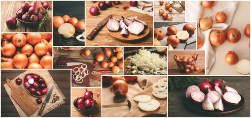 Collage of photos with different raw onions