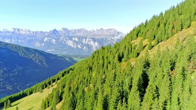 Beautiful mountain views. Pine trees cover the hillside