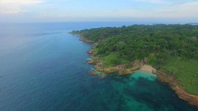 Magnificent Frigatebird Jungle Islands of and Near Isla del Rey Panama