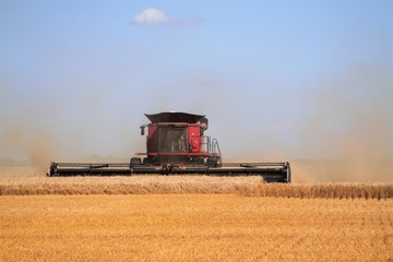 Obraz premium Combining