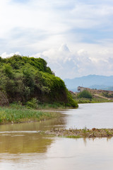 Fast and muddy waters. summer Landscape with water and forests in the Azerbaijan Lankaran river.