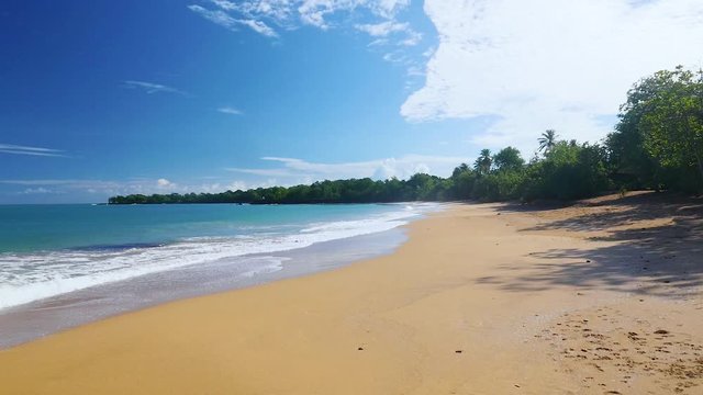 Walking on the empty tropical Cluny beach with palms in Guadeloupe slow motion