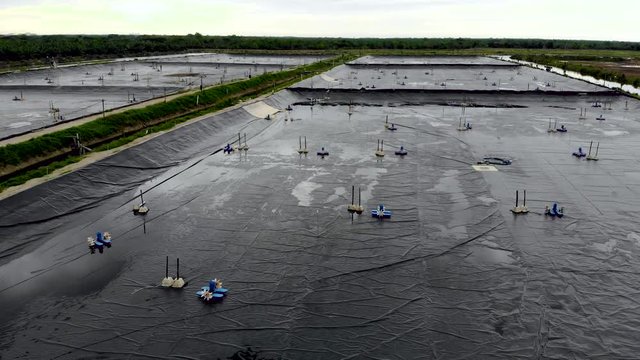 Drone pan of intensive shrimp / prawn farm in dry out phase in North Sumatra