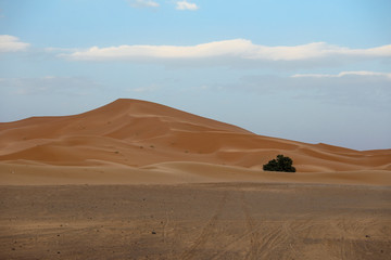 Desert in Morocco.