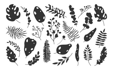 Set of exotic silhouette tropical leaf. Hand drawn different abstract jungle floral botanic leaves palm, monstera for decorative composition or invitation card. Isolated on white vector illustration