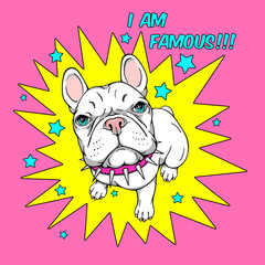 Cute cartoon french bulldog in a spiked collar. Bright and stylish image for printing on any surface