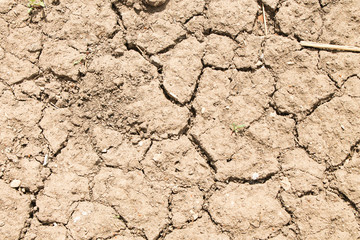 Cracked clay texture. Faults and cracks on frozen clay. 