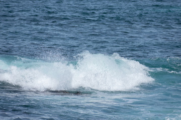 17-Mile Drive Beach Waves