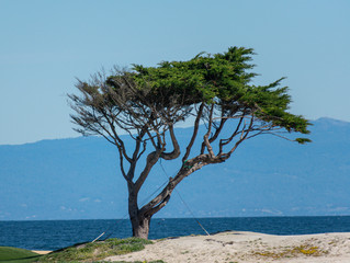 17 Mile Drive, California, USA
