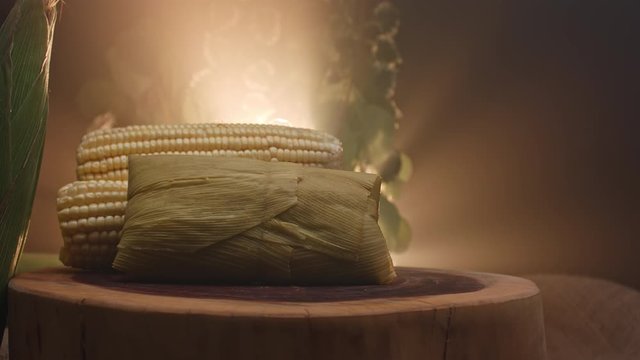 Typical Brazilian food made with corn, called Pamonha