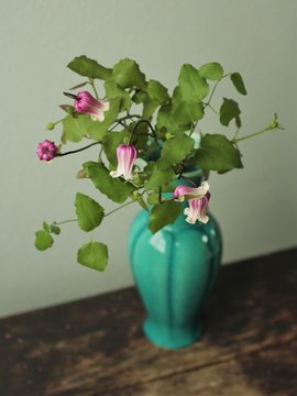 5 件の最適な 鉄線花 画像 ストック写真 ベクター Adobe Stock