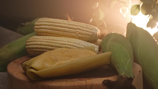 Typical Brazilian food made with corn, called Pamonha