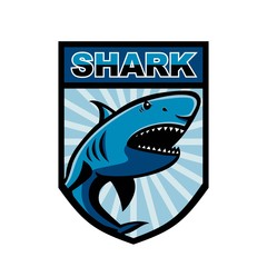 Shark esport logo mascot design