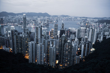 Fototapeta premium ヴィクトリア・ピークから見える香港の高層ビル群