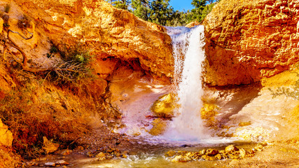 Tropic Ditch Falls as it drops over the vermilion colored rocks at the Mossy Cave hiking trail in Bryce Canyon National Park, Utah, United States