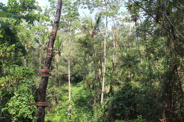 Fototapeta premium 神々の住み給う地 という名の観光地 バリ島(インドネシア)