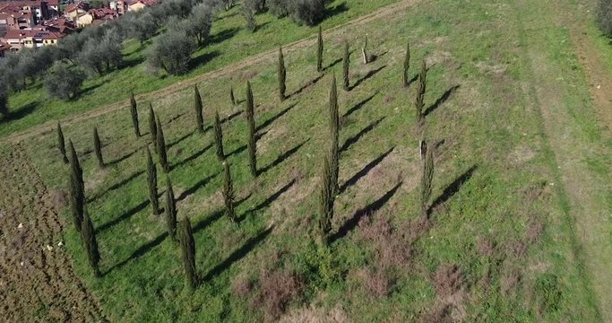 Closeup shot of Agricultural fields form geometrical shapes. Aerial forward. Tuscany hills around Sieci Pontassieve, Chianti area of Frescobaldi, Italy