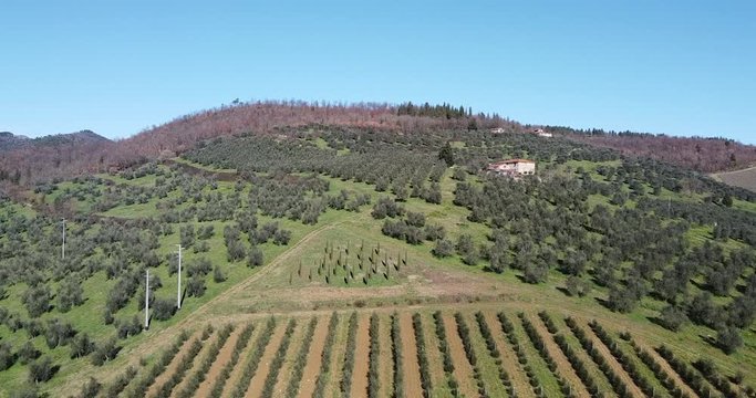 Approaching shot Agricultural fields form geometrical shapes. Aerial forward. Tuscany hills around Sieci Pontassieve, Chianti area of Frescobaldi, Italy