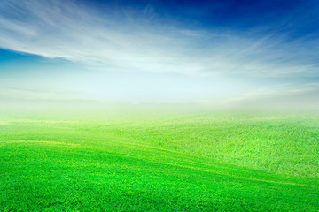 Green grass field on hills and blue sky with white cloud.