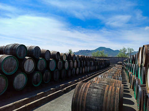a lot of oak wine casks with madeira wine while maderization on solarium with mountain background. Crimea, Koktebel. Winery.