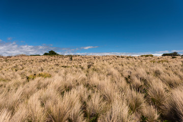 Hiking on top of the Nut in Stanley, Tasmania, Australia.