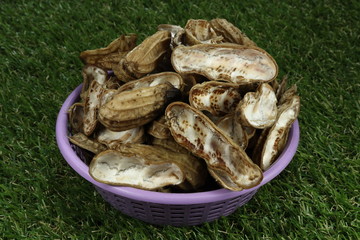 Pile of nut shell in the plastic basket on the grass field. Food scrap for making fertilizer concept. 