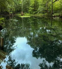 Wes Skiles Peacock Springs State Park, Florida - View of Peacock I Spring
