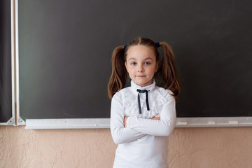 A young girl is standing at the blackboard. School education. Portrait of a blond child at school. Parenting and education of children.