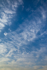 Fototapeta premium 秋の空と雲(11月)