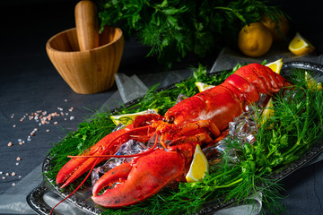 the cooked lobster on ice
