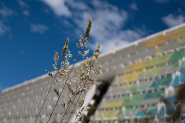 grass and architecture 