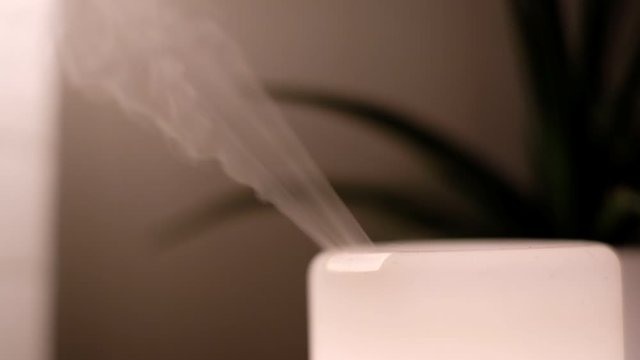 Calming vapor of glowing essential aroma oil diffuser with plant In the background