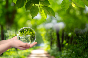 신록이 우거진 초원에서 아이 손에 담긴  원형 구슬이 함께 하는 모습