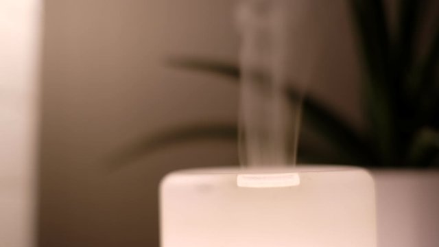 Calming vapor of glowing essential aroma oil diffuser with plant In the background