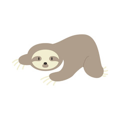 cute sloth animal vector