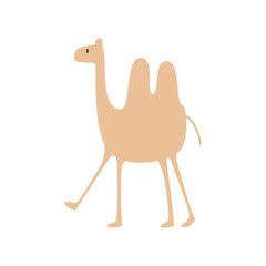 cute camel animal vector