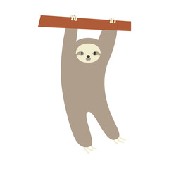 cute sloth animal vector