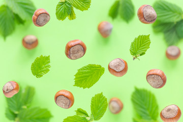 Falling hazelnuts with green leaves on a colored background, selective focus. Top view, flat lay.