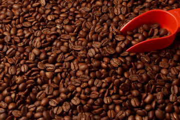 Measuring spoon and coffe beans