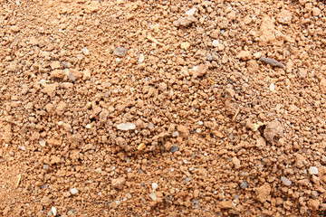 Texture of soil as background