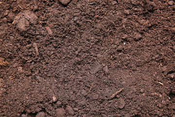 Texture of soil as background