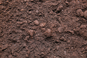Texture of soil as background