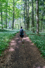 Obraz premium Wandern bei Öfingen Baden-Wüttemberg Deutschland
